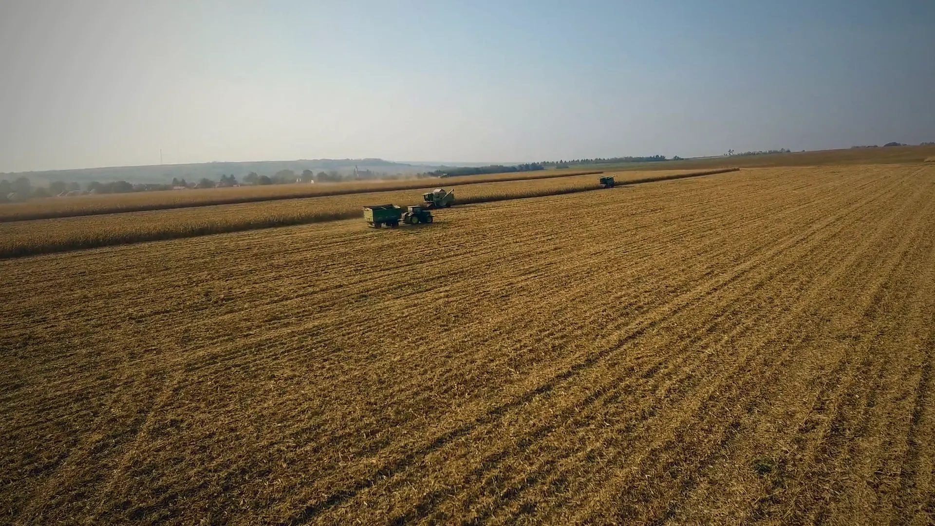 Harvest season